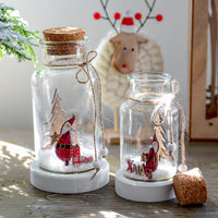 bouteille-de-neige-vintage