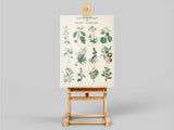 affiche-murale-deducation-botanique-de-jardin-dherbes-vintage