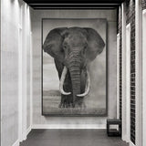 affiche-de-peinture-sur-toile-delephant-sauvage-dafrique